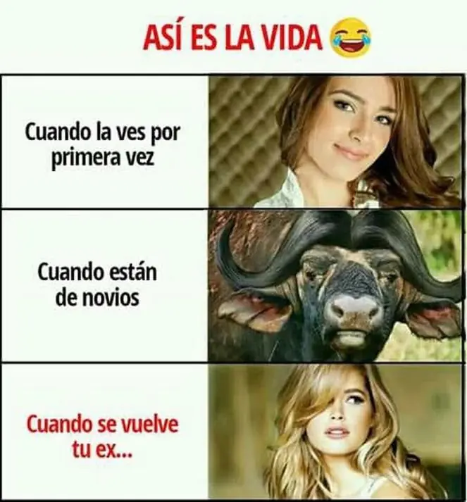 Domingo