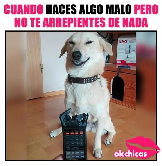 mejores memes