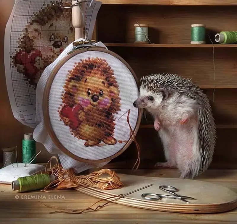 animales