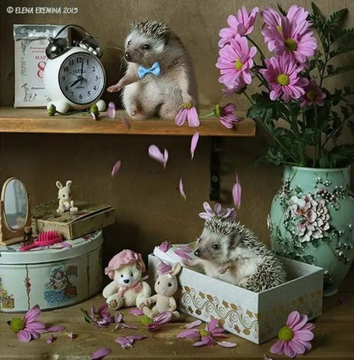 diseno