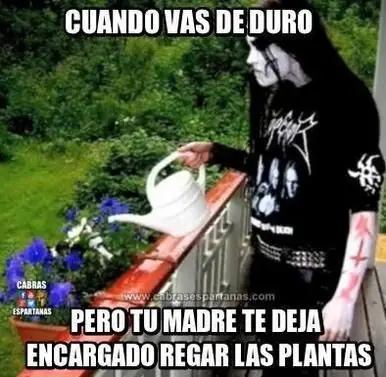 mejores memes