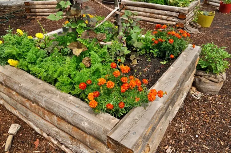 jardineria