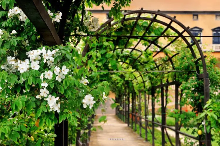 jardineria