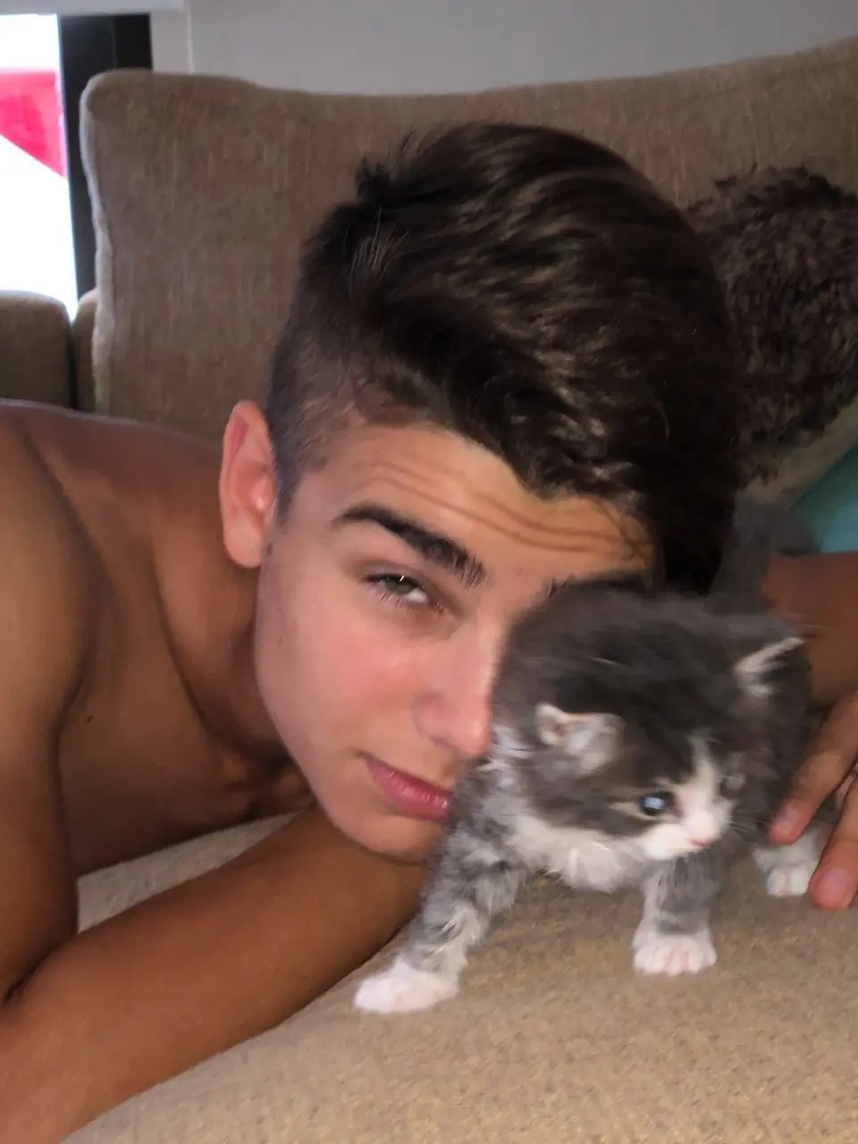 animal