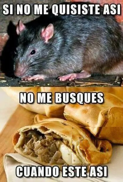 humor