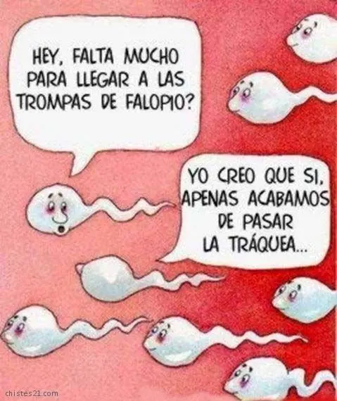 sonrisa