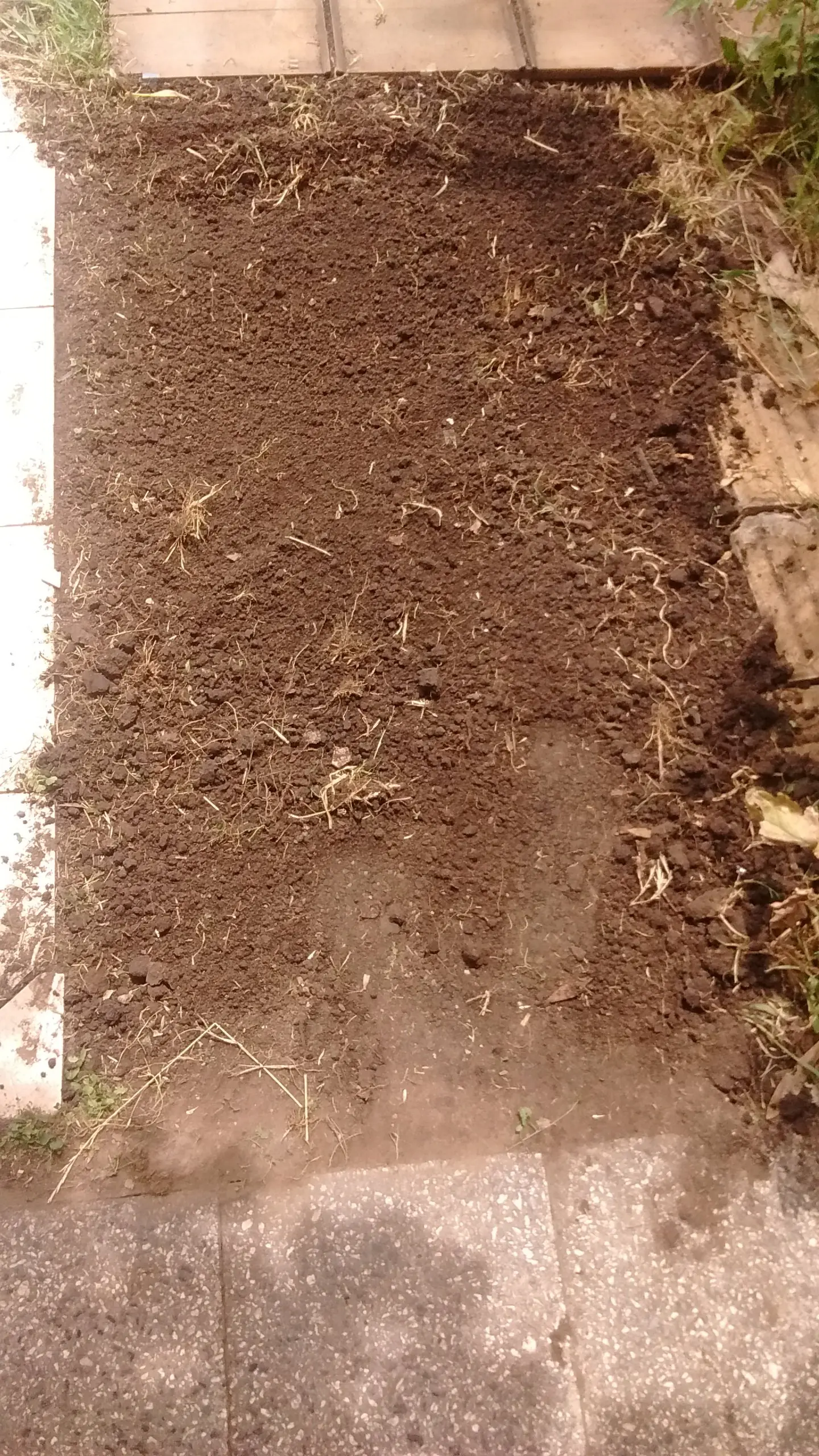 organico