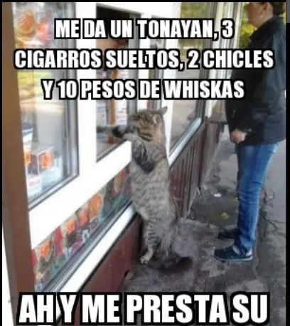 Diversion