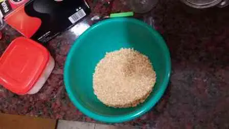 hamburgesas de soja