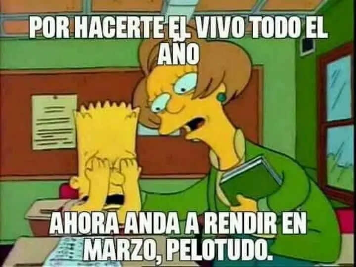 Gato