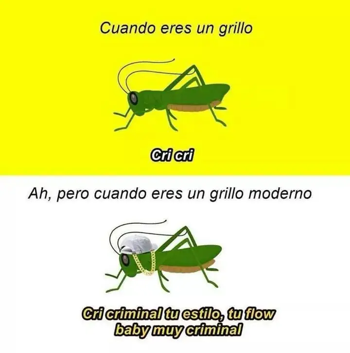 Miercoles