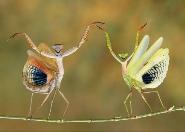 Fotos de la national Geographic que te dejarán asombrado