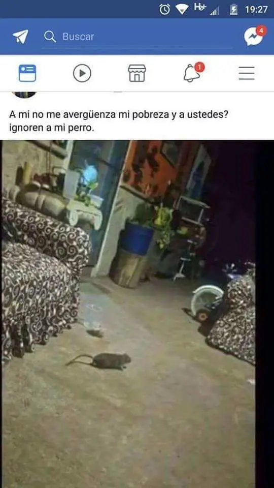 Estados