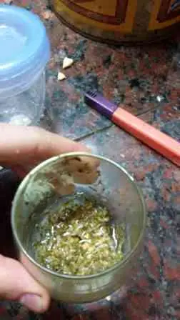 soja