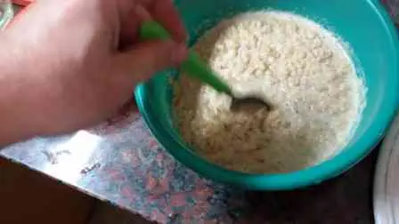 hamburgesas de soja