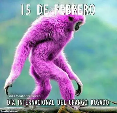 humor