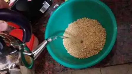 soja
