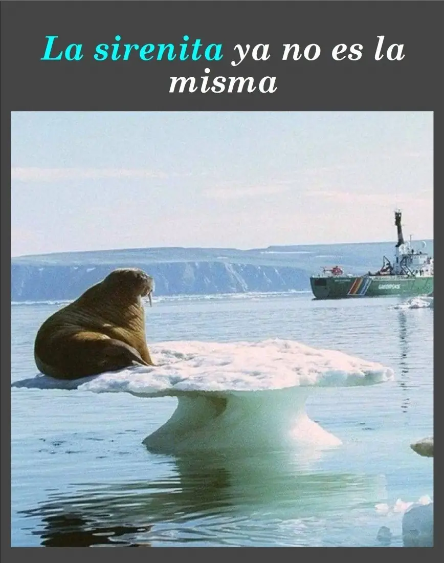 fisica