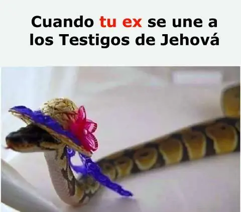 entretenimiento