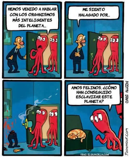 diversion