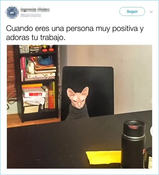 pREMIO