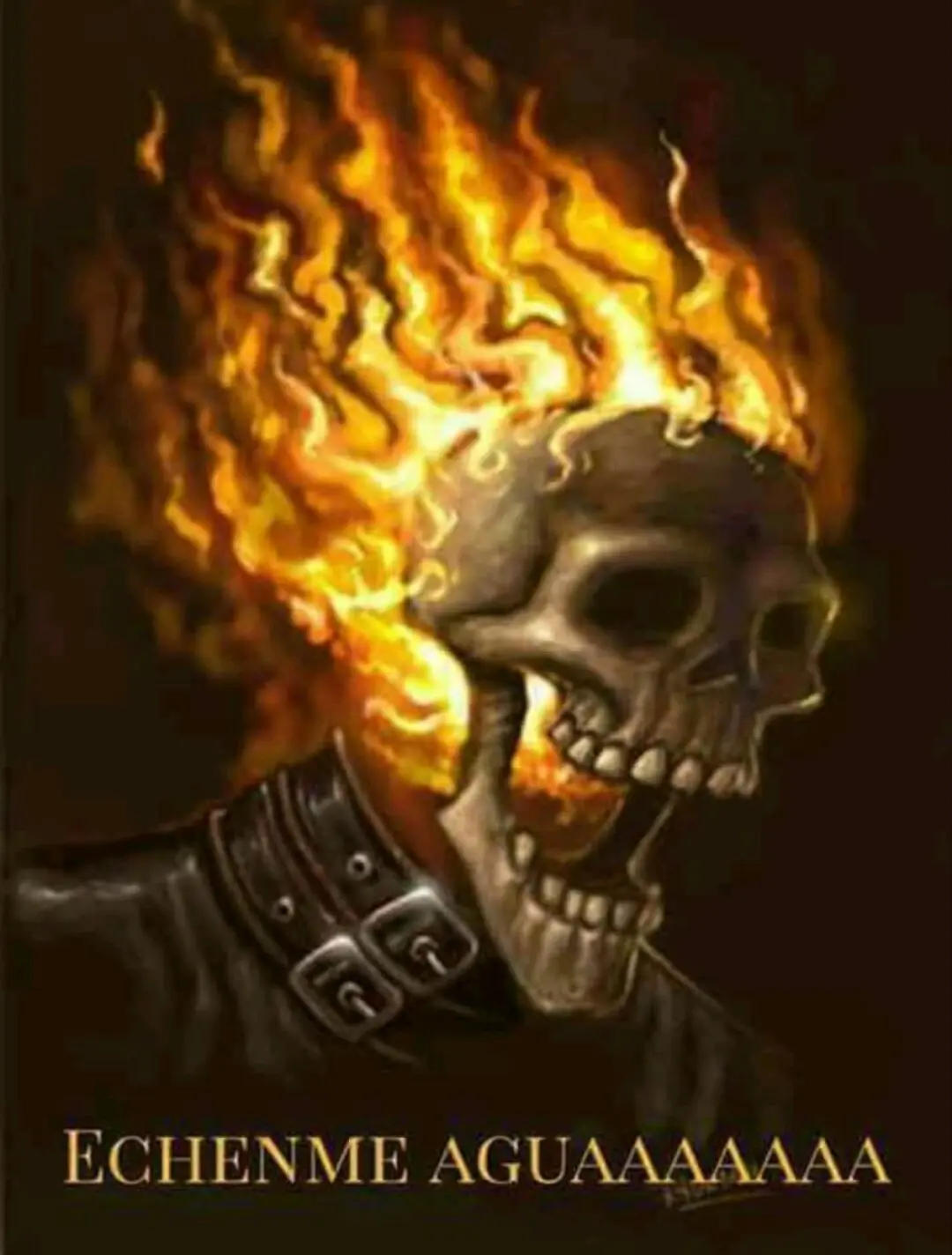 Humor random de calaveras