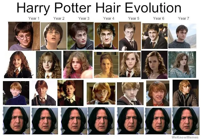 evolucion