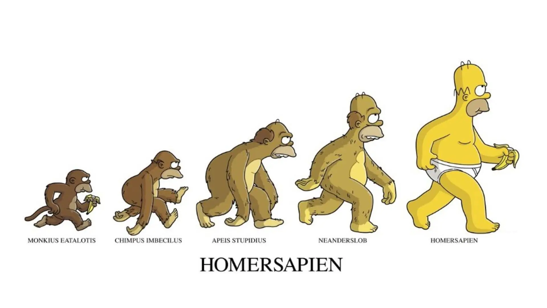 memes evolucion