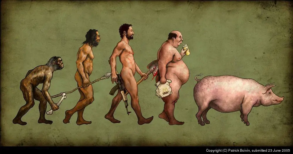 its evolution