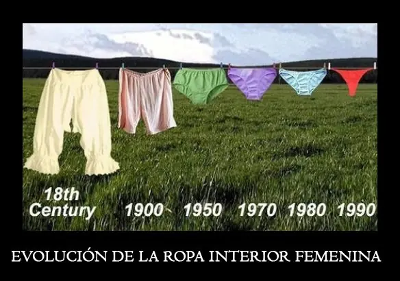 evolucion