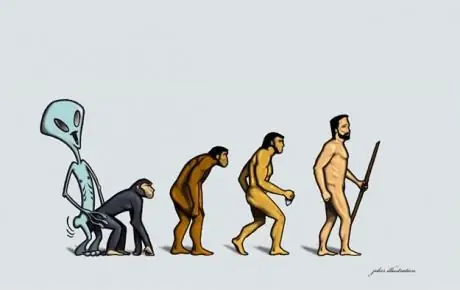imagenes graciosas evolucion