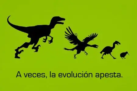 imagenes graciosas evolucion
