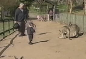 Otro ataque de gifs..la risa no mata,la amargura si