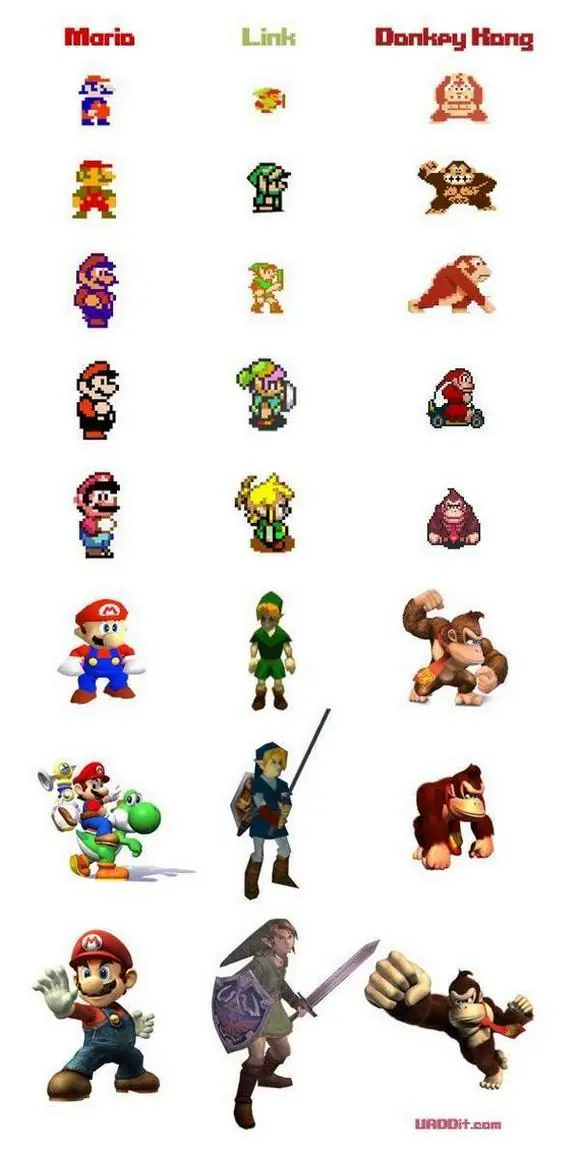 imagenes graciosas evolucion
