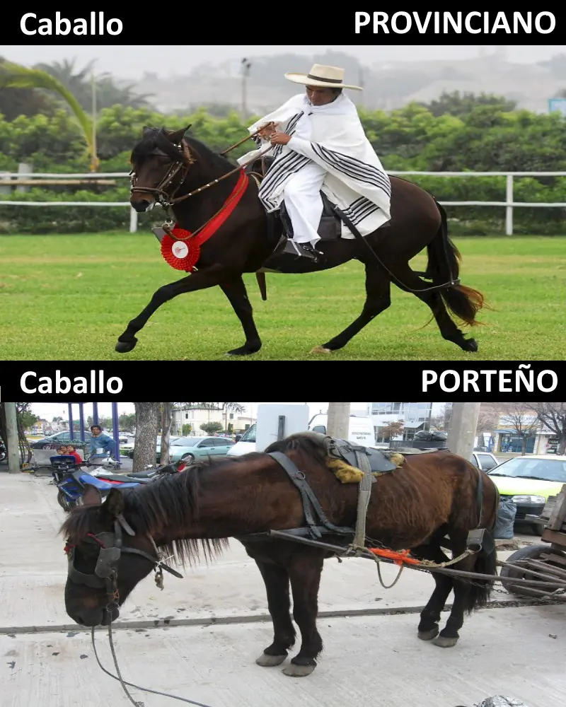 porteno