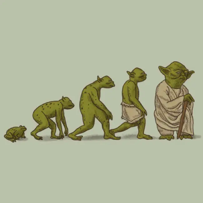 evolucion