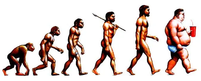 Memes sobre evolución
