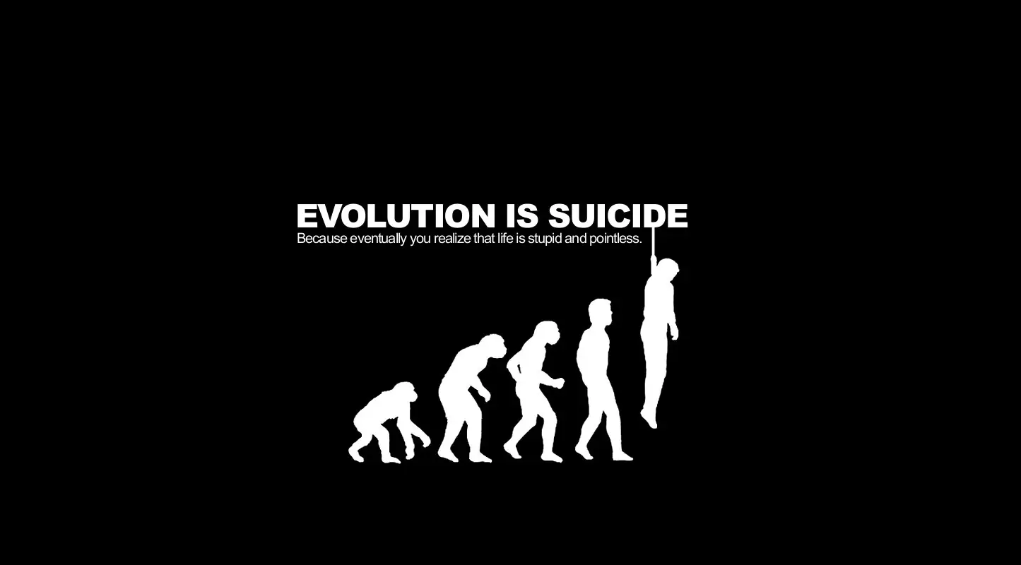 its evolution
