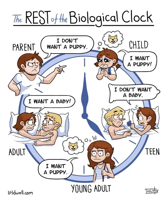 its evolution