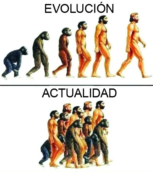 Memes sobre evolución