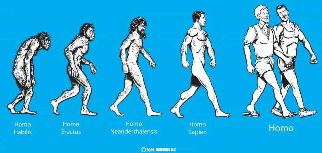 imagenes graciosas evolucion