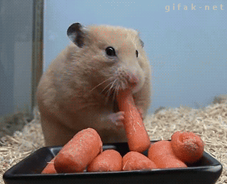 Gifs