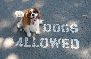 importan