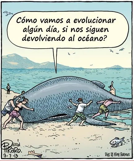 evolucion