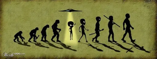 imagenes graciosas evolucion