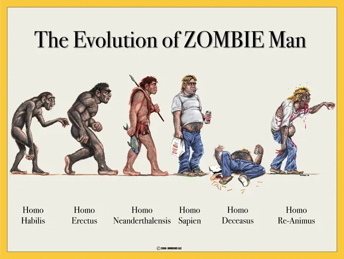 imagenes graciosas evolucion
