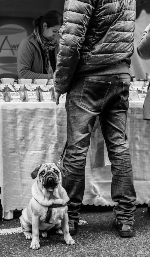 fotografo