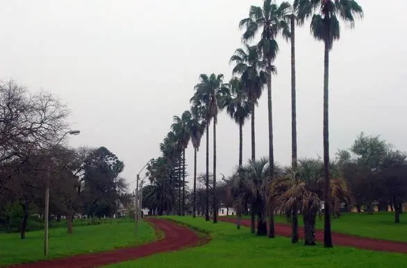 paysandu