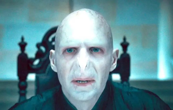 La teoría que afirma que realmente el malo era Harry Potter