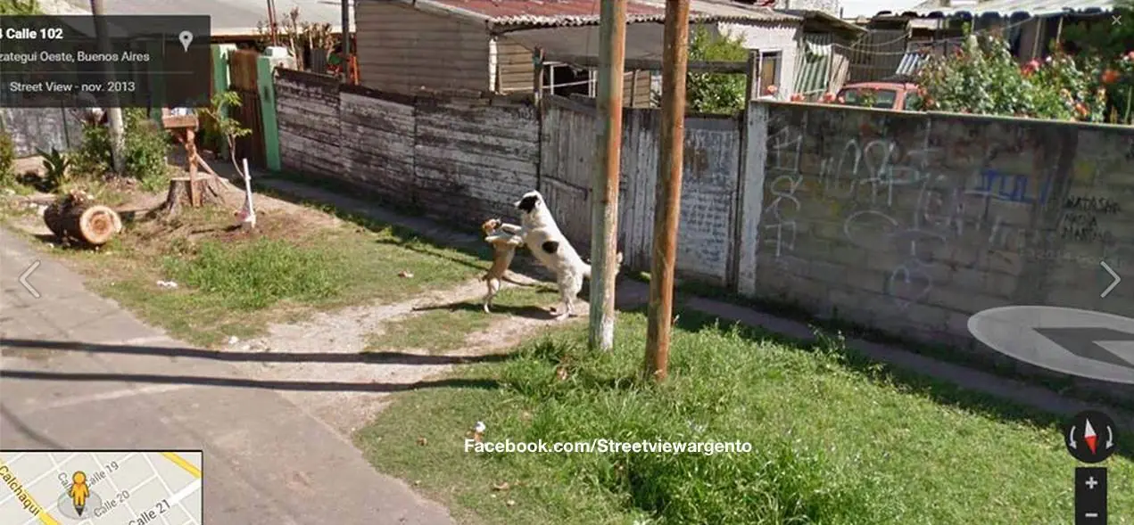 street view